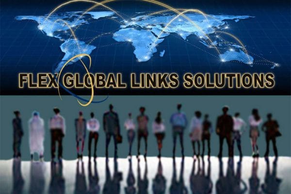 fgls-illustration-2 fgls-illustration-2